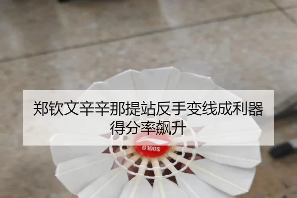 zheng-qin-wen-xin-xin-na-ti-zhan-fan-shou-bian-xian-cheng-li-qi-de-fen-lv-biao-sheng-3-242.jpg