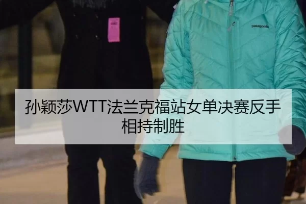 孙颖莎WTT法兰克福站女单决赛反手相持制胜