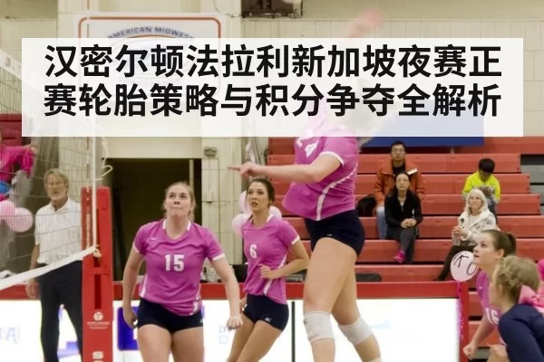 汉密尔顿法拉利新加坡夜赛正赛轮胎策略与积分争夺全解析