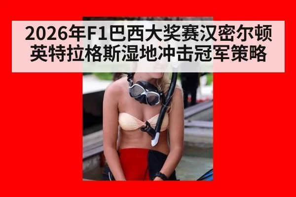 2026年F1巴西大奖赛汉密尔顿英特拉格斯湿地冲击冠军策略